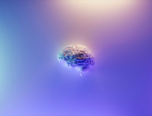 Building a Second Brain