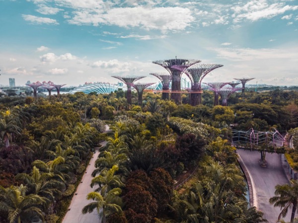 Future Trends in Productivity